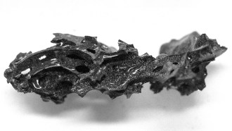 Glass fragment of an ancient brain.