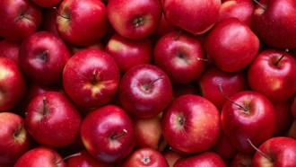 a bunch of red apples